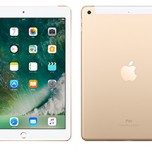 iPad(5th)(SoftBank)